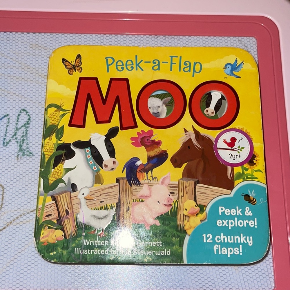 “Peek-A-Flap Moo” Childrens book